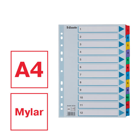 Register Mylar karton A4 1-12 – image 2
