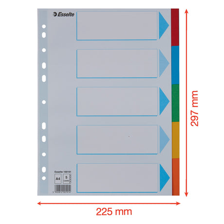Faneblade karton A4 5-delt – image 3