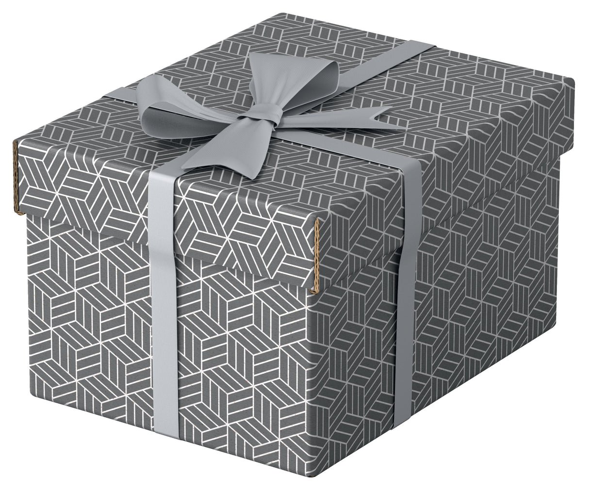 Opbevaringsboks Esselte Home S grå (3)