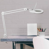 LED luplampe med bordklemme, hvid, MAULviso
