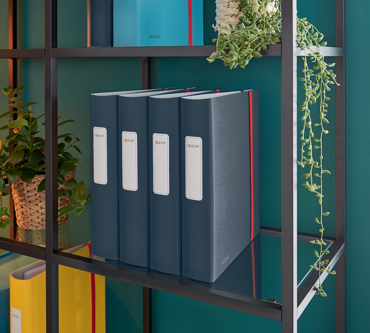 Brevordner Cosy Active PP A4 60mm grå