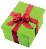 Arkivboks Click&Store mellem grøn – image 5