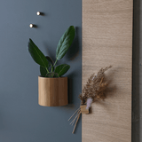 Magnetic box for glass boards oak -70120.png
