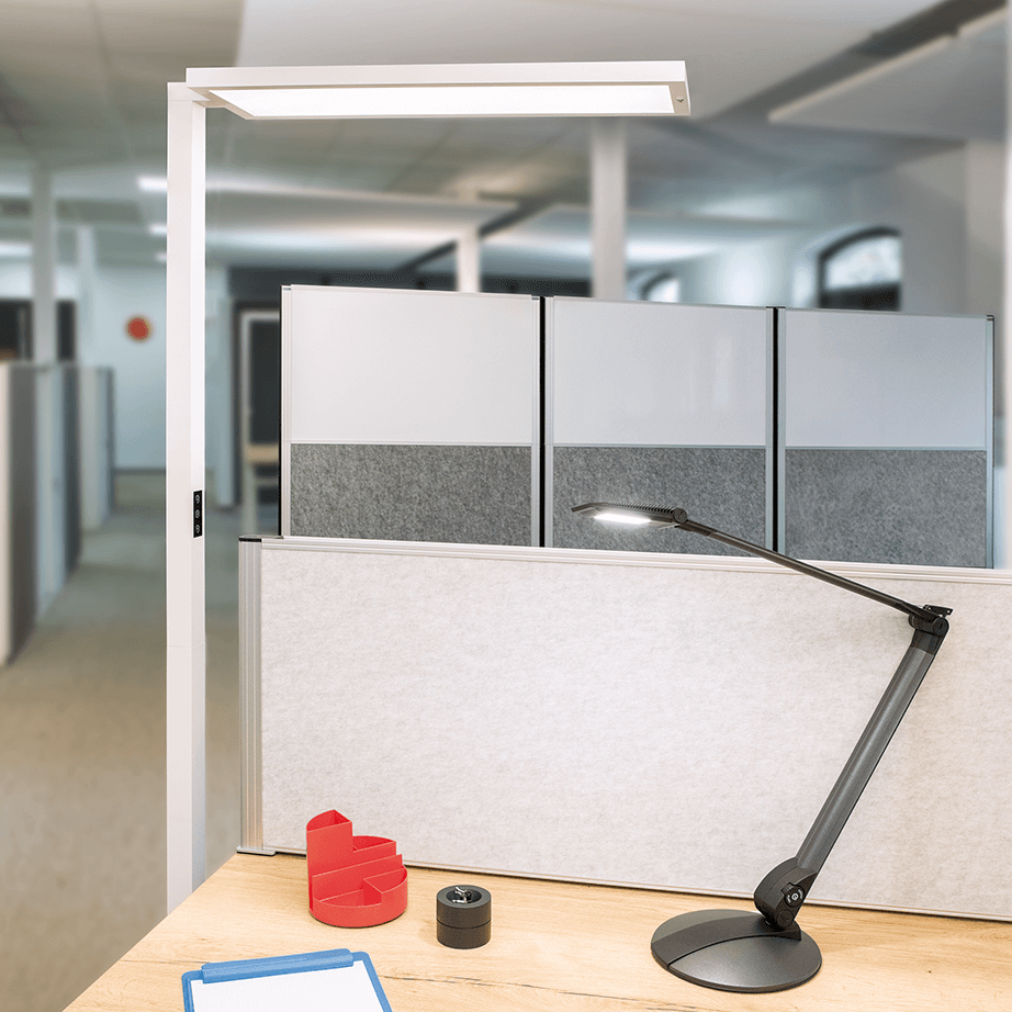 LED Gulvlampe med sensor, hvid, MAULsenja – image 2