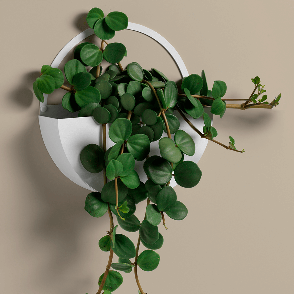 White metal storage shelf decoration.png