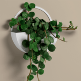 White metal storage shelf decoration.png